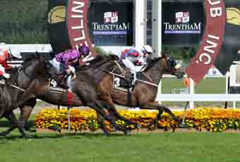 Midnight Oil - NZ Oaks - Race Images PN Photo (3)